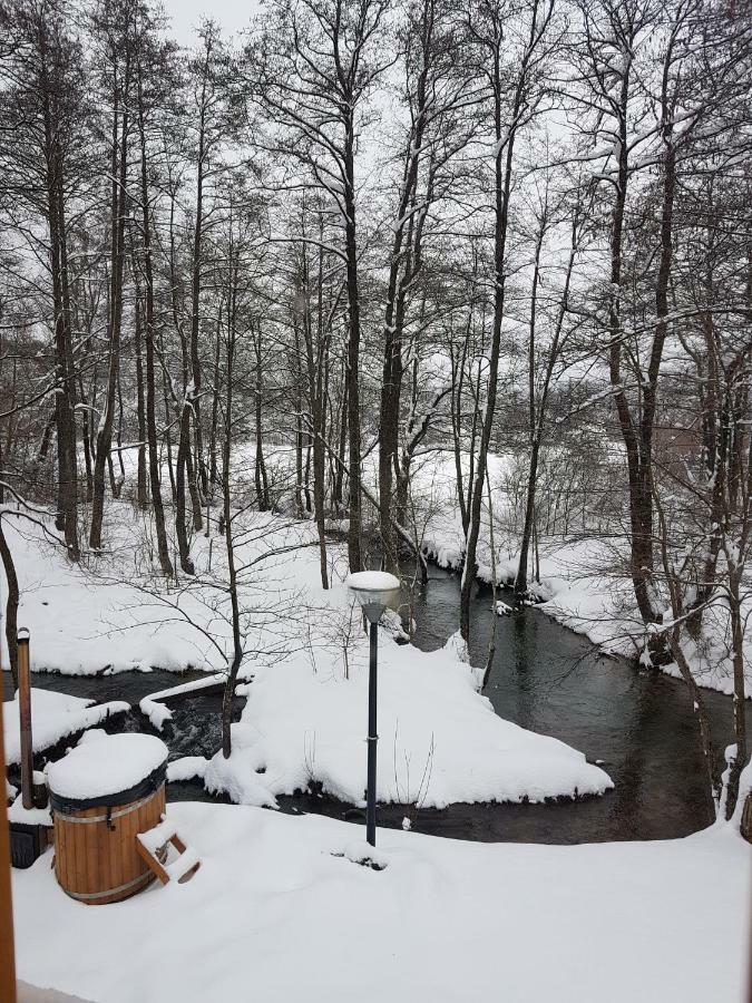Vodenica Vrelo Chalets Vrelo Koreničko Exterior foto